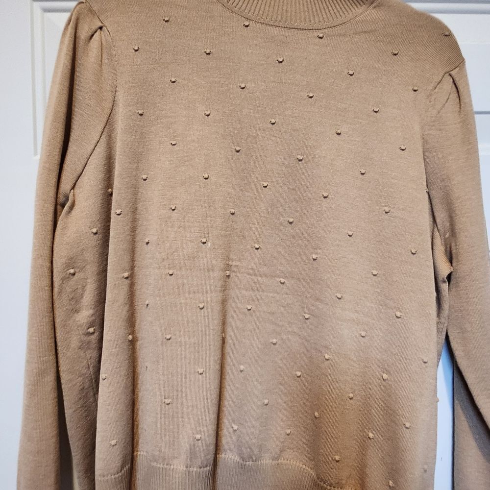 Women's Cowl & Turtleneck Sweater — Beige